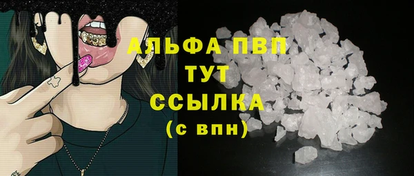 стаф Алексин