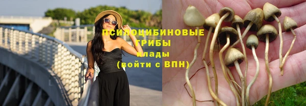 амф Алзамай