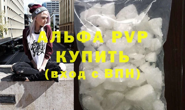 стаф Алексин