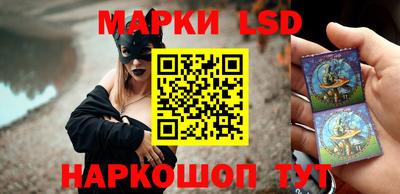 гидра Новозыбков