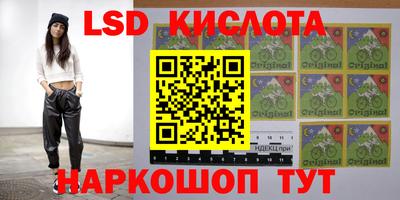 винт Новокубанск