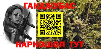 гидра Новозыбков