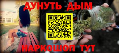 гидра Новозыбков