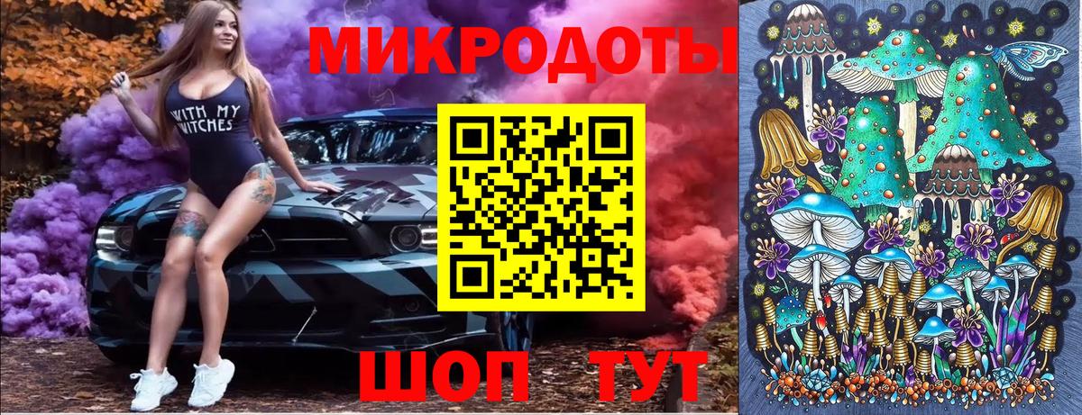 Галлюциногенные грибы Psilocybe Феодосия